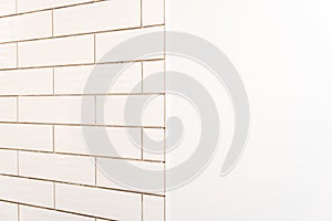 Subway tiles on shower wall