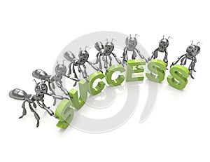 Success 3d word