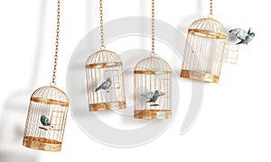 Success concept. Open bird`s cell isolation on a white background photo