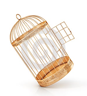 Open bird`s cell isolation on a white background. 3d illustration