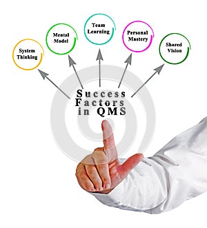 Success Factors in quality management system