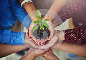 Success means helping each other grow. High angle shot of a group of businesspeople holding a plant growing in soil.