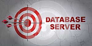 Programming concept: target and Database Server on wall background