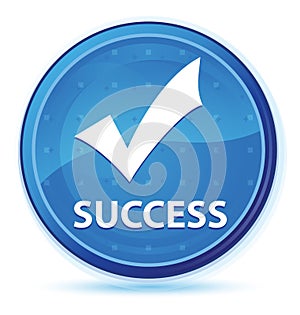 Success (validate icon) midnight blue prime round button photo