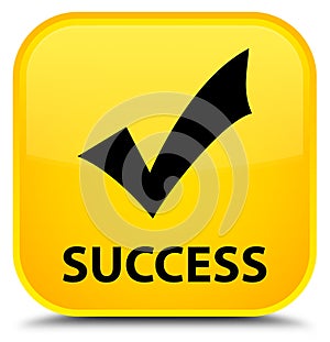 Success (validate icon) special yellow square button photo