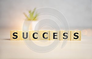 Success word written on wood cube with sunny background