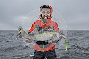 Success zander fishing. Happy fisherman with big walleye fish trophy at lake