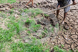 Successful Agriculturist