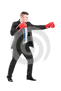 Successful business man fighting like a boxer