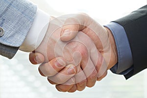 Successful business people handshaking closing a deal