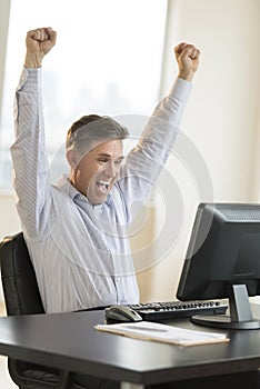 Successful Businessman Screaming While Using Computer