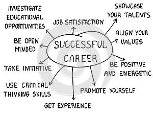 Successful career