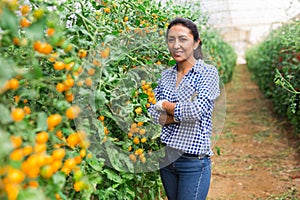 Successful confident Hispanic female grower in greenhouse