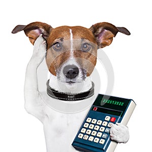 Successful dog accountant