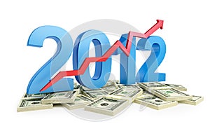 Successful growth business in 2012