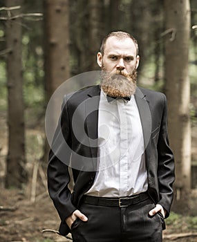 Successful man in a business suit in a forest.