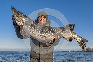 Successful pike fishing. Happy fisherman hold huge muskie fish