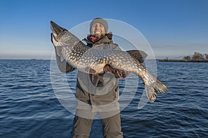 Successful pike fishing. Happy fisherman hold huge muskie fish