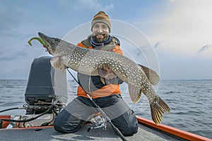 Successful pike fishing. Happy fisherman hold huge muskie fish photo