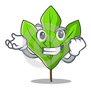 Successful sassafras leaf in the cartoon stem