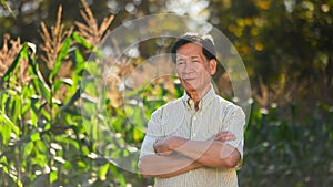 Successful senior male farmer standing with arms crossed in corn field. Agribusiness concept