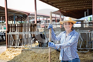 Successful young female cow breeder standing in cowshed