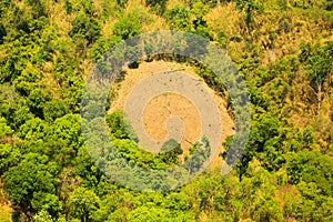 Succession or encroachment of tree into a clearing