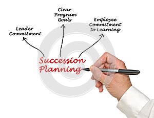 Succession Planning photo