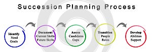 Succession Planning Process