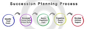 Succession Planning Process photo