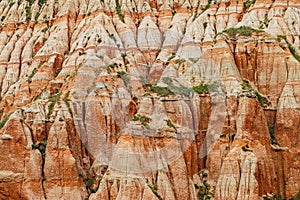 Red clays with dinosaur fossils. Geological reserve photo
