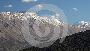 Successive Snowy Mountain Ridge at Edge of Forest in Spring