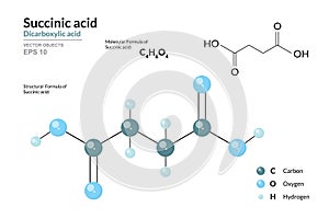 Succinic Acid. Food Additive E363. Structural Chemical Formula and Molecule 3d Model. C4H6O4. Atoms with Color Coding. Vector