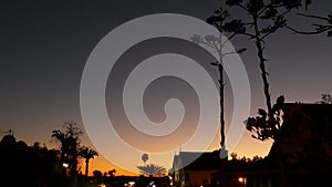 Succulent agave cactus flower at sunset dusk, western California, USA. Desert town