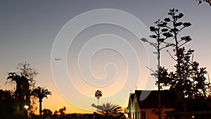 Succulent agave cactus flower at sunset dusk, western California, USA. Desert town