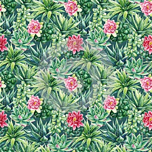 Succulent and cactus seamless pattern. Watercolor botanical illustration, background succulents, stone rose