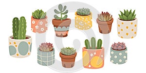 Succulent cactus set. Cactus succulent in pot, cartoon flat style. Cacti set isolated for stickers, greeting cards.