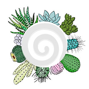 Succulent cactus set in circle artboard. Place for text. agave, aloe, gastraea, echeveria, Pachyphytum, prickly pear photo