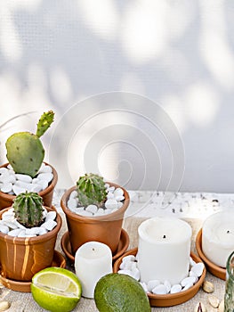 Succulent and candles styled centerpiece decoration.