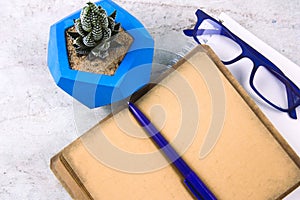 Succulent in concrete pot , sheet of paper, and glasses