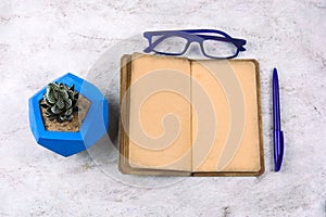 Succulent in concrete pot , sheet of paper, and glasses