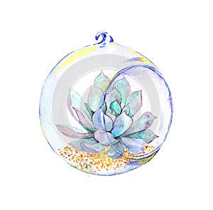 Succulent in glass ball. Watercolor