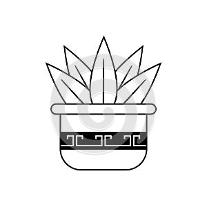 Succulent icon design template vector isolated illustration