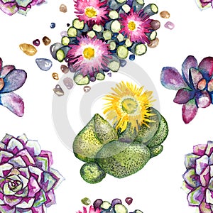 Succulent pink and yellow blooming plants and stones top view, seamless pattern design on white background