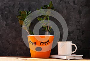 Succulent plant in orange pot. Creative reindeer with green horns in minimal style. Minimalistic home decor,urban jungle