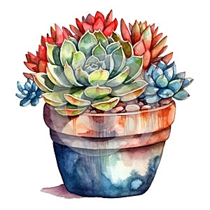 Succulent plant in a pot. Watercolor hand drawn illustration. AI Generated