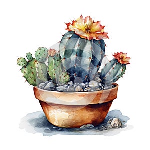 Succulent plant in a pot. Watercolor hand drawn illustration. AI Generated