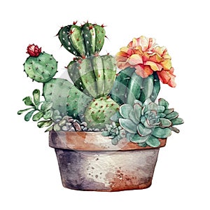 Succulent plant in a pot. Watercolor hand drawn illustration. AI Generated