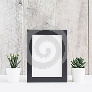 succulent plant two white pot with blank picture frame against wooden wall. High quality photo