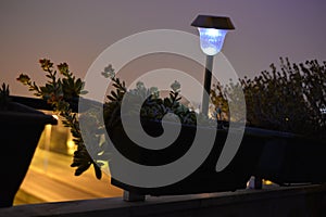 Succulent Plants Blossom, Home Balcony, Flowers and Lighted Garden Lamp, Night Scene